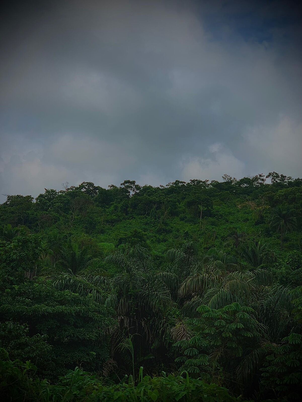Environnement · Climat